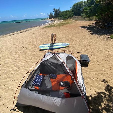 Hotel Budget Hack Maui Suv Camping Kahului Zewnętrze zdjęcie